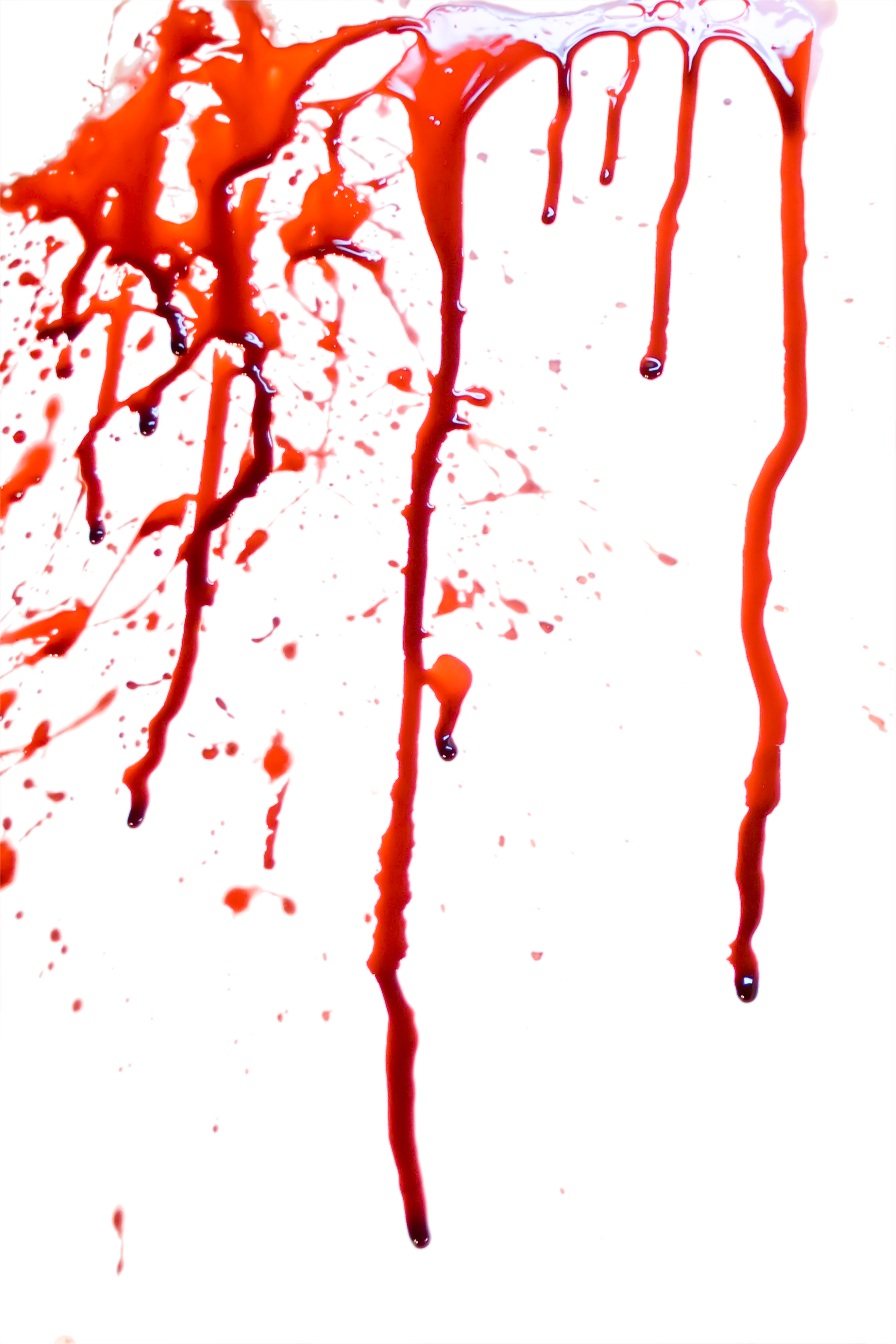 Blood Png Image - Png Full Hd Text (2304x3456), Png Download