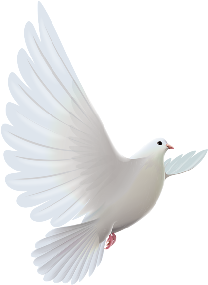 Gods Doves Png - Flying Dove Hd Png (453x600), Png Download