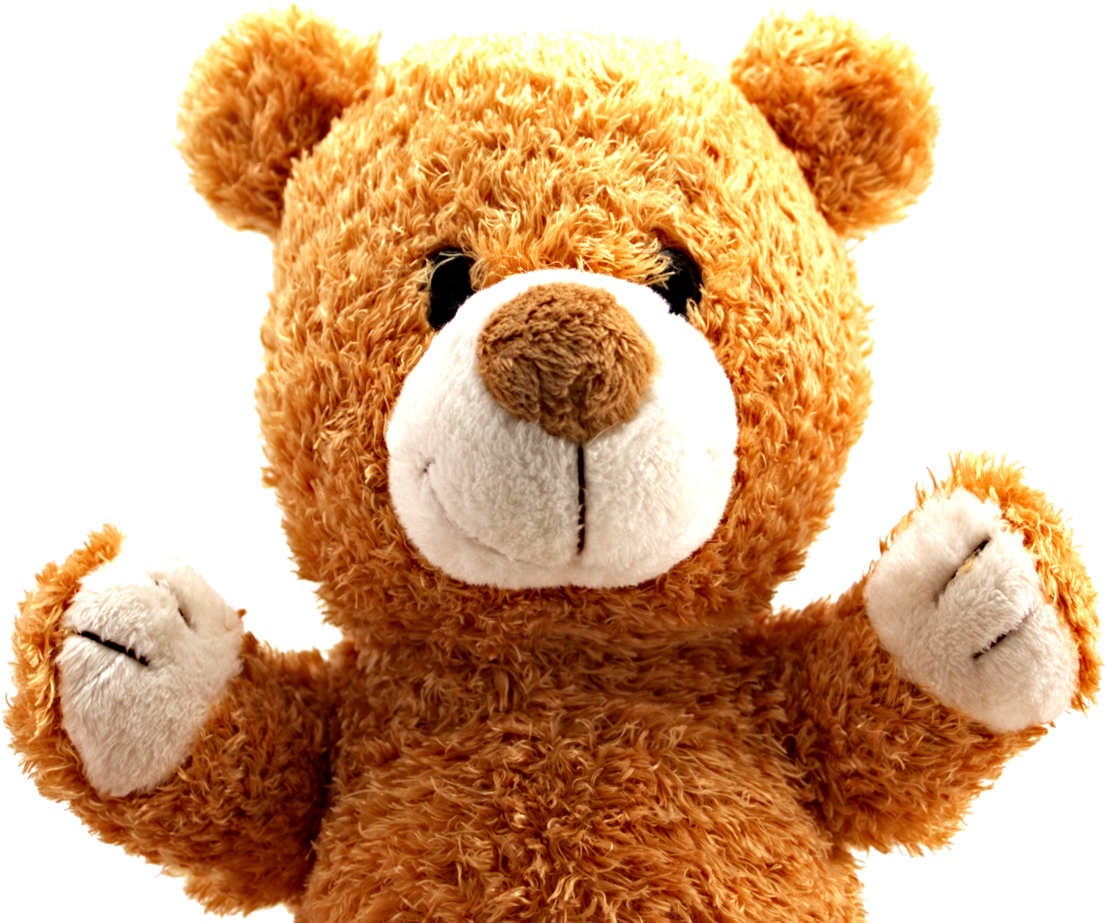 Teddy Bear Png Image - Teddy Bear Png Transparent (1336x1039), Png Download