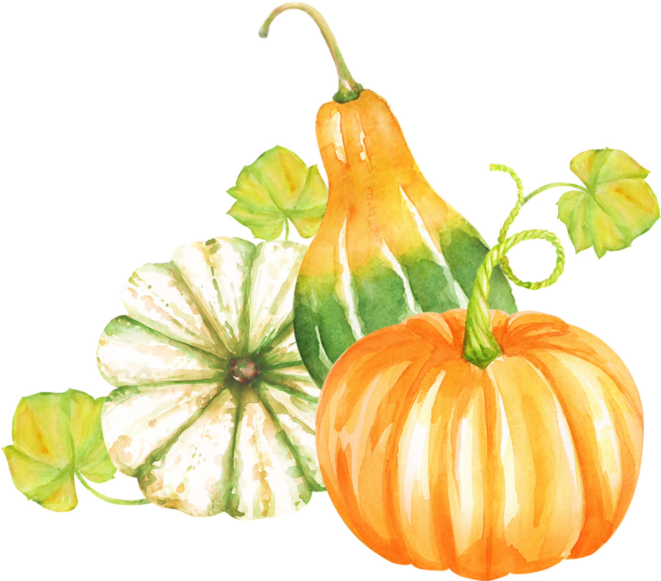 All Clipart/ Watercolor Clipart/ Pumpkin Clipart/ Woodland - Watercolor Painting (2400x2400), Png Download