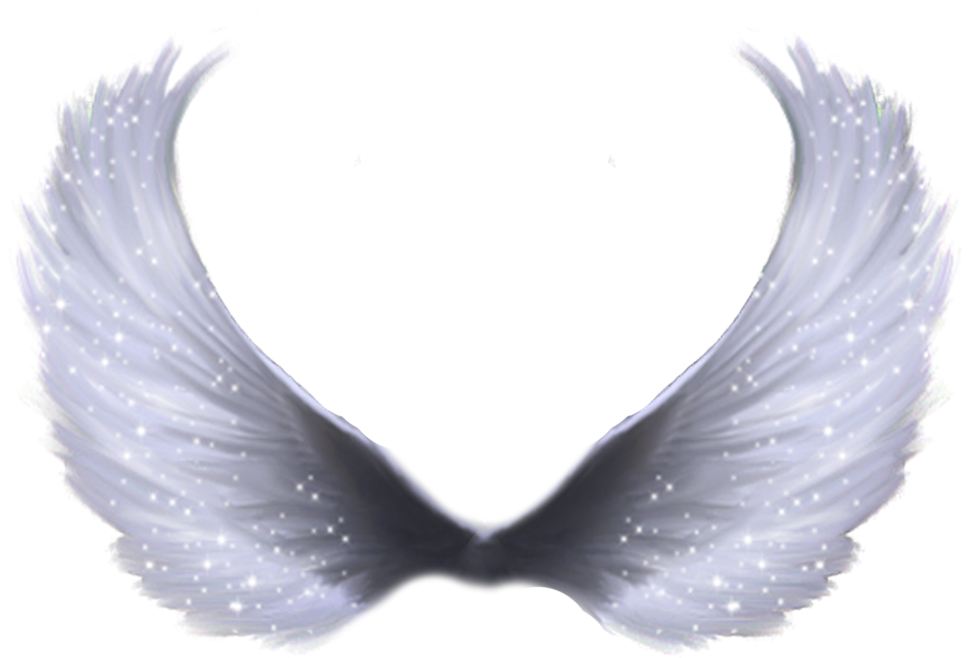 Full Hd Wings Png By Me - Transparent Angel Wings Png (1024x819), Png Download