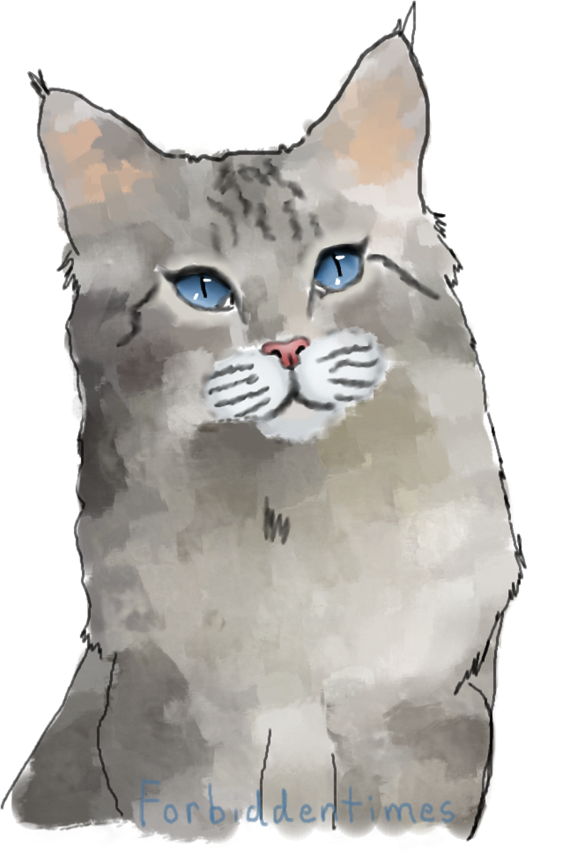 Fadeheart - Snowshoe (1300x1400), Png Download
