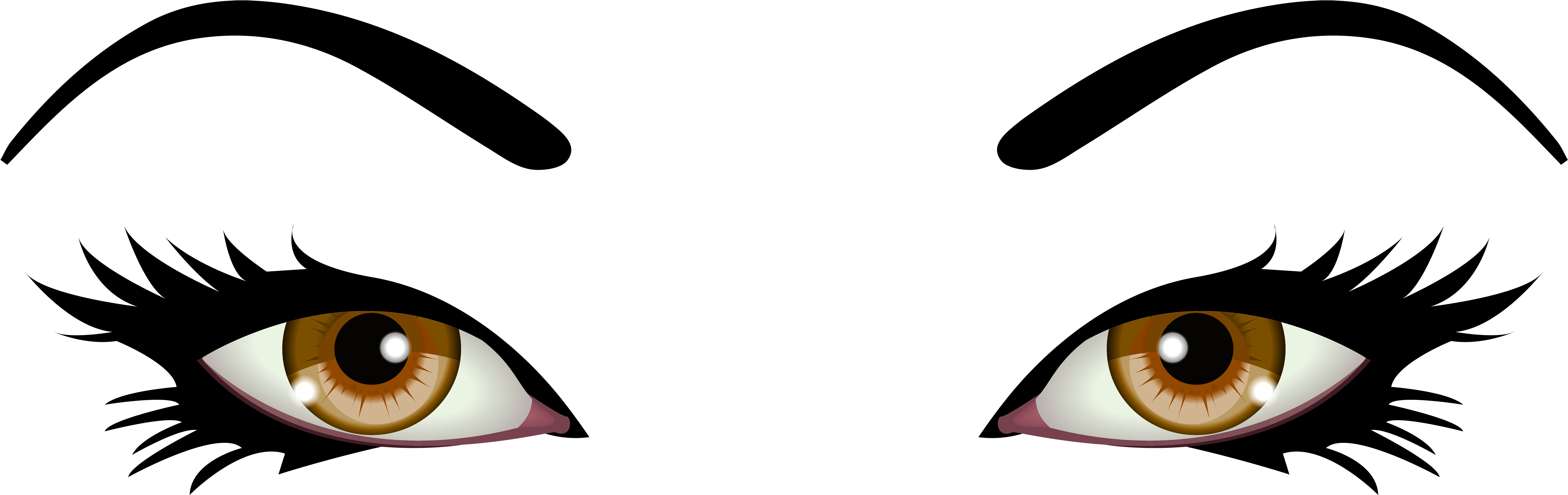 Brown Female Png Clip Art Best Web - Eye Clipart Transparent Background (6000x1950), Png Download