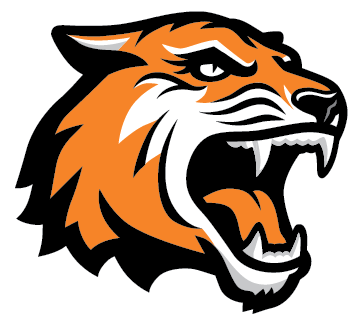 Tiger Head Png - Png Tiger Face (379x328), Png Download