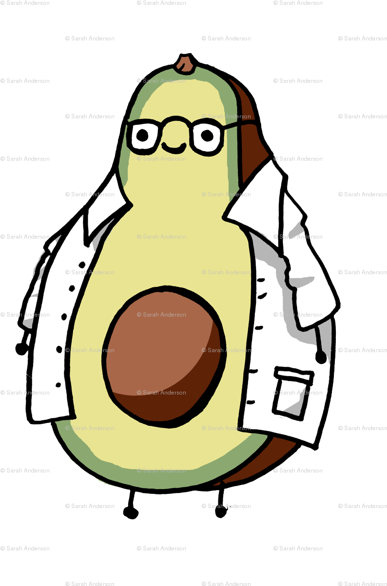 Avocados Constant (864x1296), Png Download