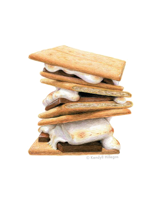 Biscuit Drawing Breakfast Sandwich - Painting Watercolor Cookies (564x705), Png Download
