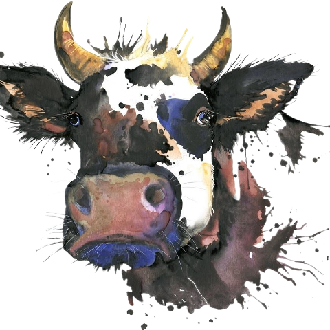 Cow Watercolor (480x480), Png Download