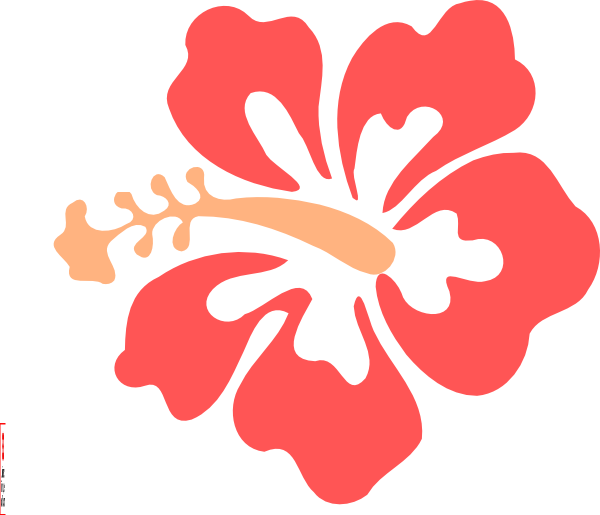 How To Set Use Coral Hibiscus Clipart (600x515), Png Download