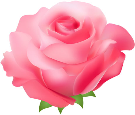 Clip Art Pink Floral - Pink Rose Art Png (471x400), Png Download