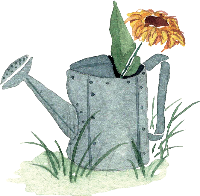 Little Watercolor Watering Can With Sunflower In The - Animal Figure (3400x4400), Png Download