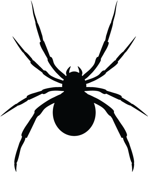 Spiders In Minnesota Homes And Offices - Pickens Pest Control (600x600), Png Download