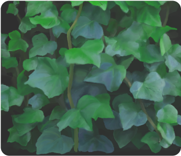 Vines Climbing Plant Men's Clutch Purse （model - Stone Wall (500x500), Png Download