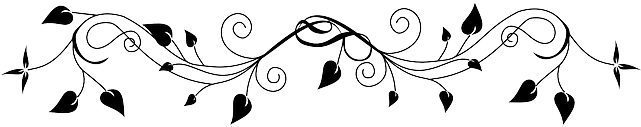 Leaf Border - Border Flower Black And White Png (640x320), Png Download