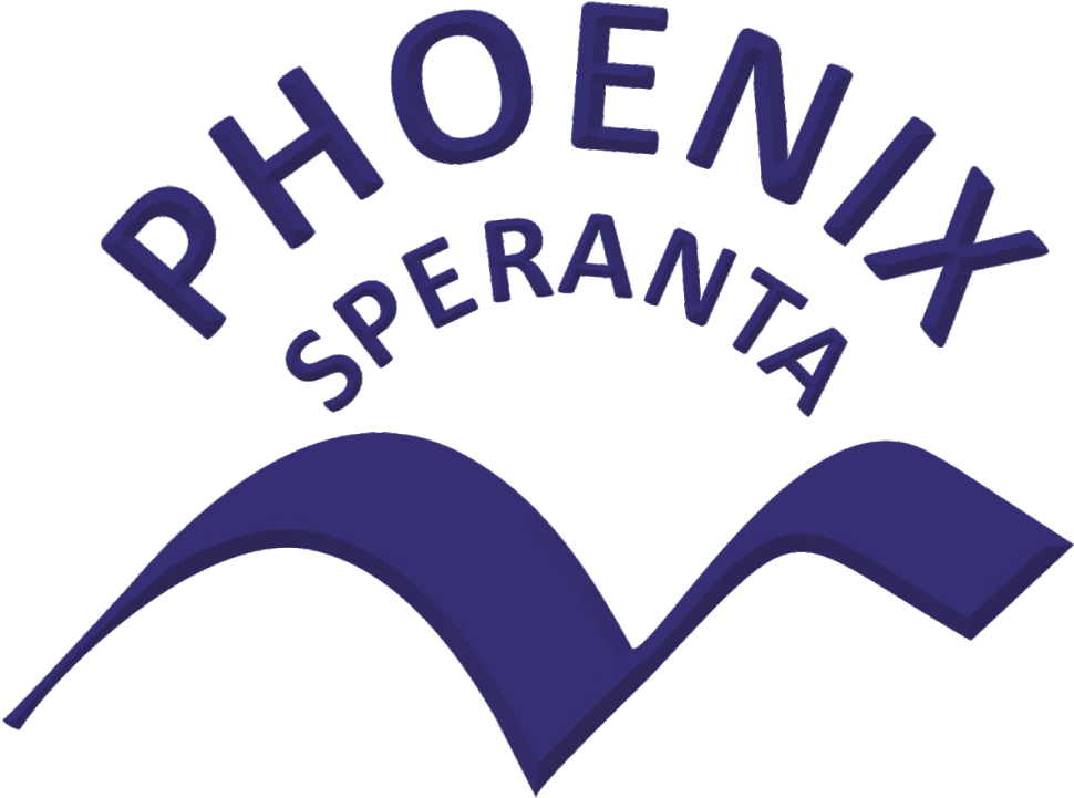 The Phoenix Of Zurich International - Iron Lady Of Manipur (1024x1024), Png Download