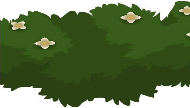 Shrub Bushes Clipart Plant Garden - Shrub (640x480), Png Download