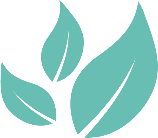 Leaves2 - Portable Network Graphics (1000x500), Png Download