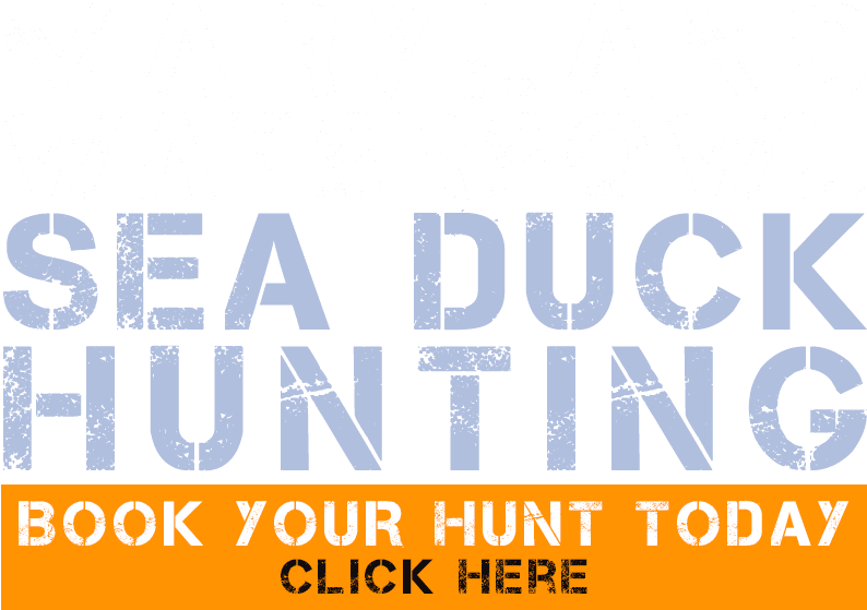 Book Your Hunt - Motor Ombudsman Logo Png (798x572), Png Download