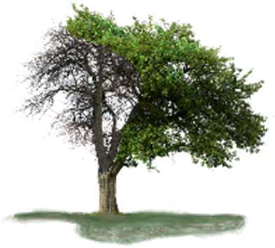 Overcome The Penalties Of Love (400x400), Png Download