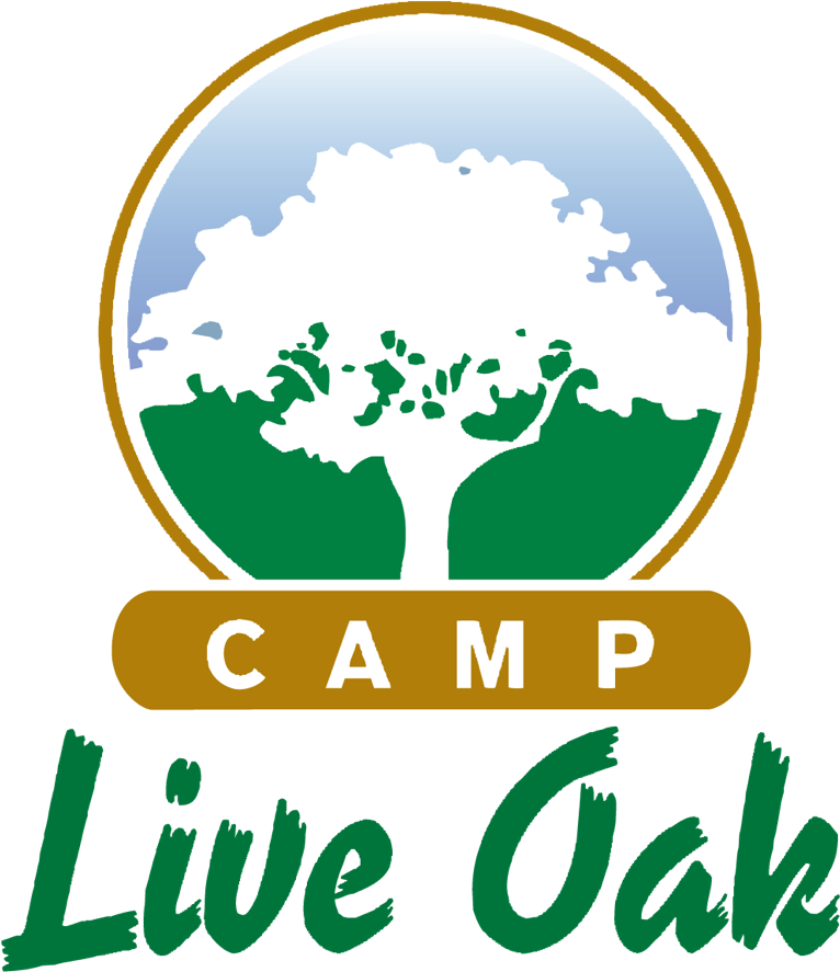 Amazing Outdoor Summer Camp Located In Fort Lauderdale - Plastic Bottle (960x1106), Png Download