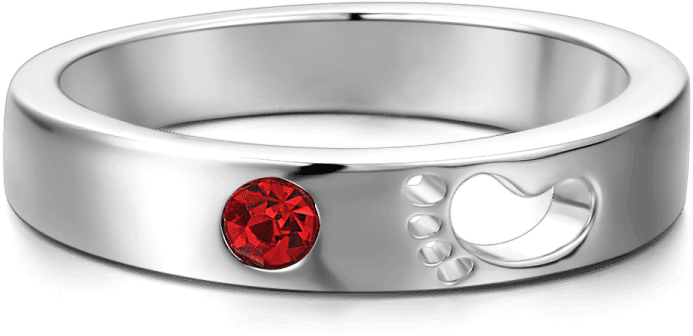 Titanium Ring (750x750), Png Download