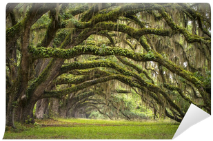 Mill Pond Road Thomasville Ga (400x400), Png Download