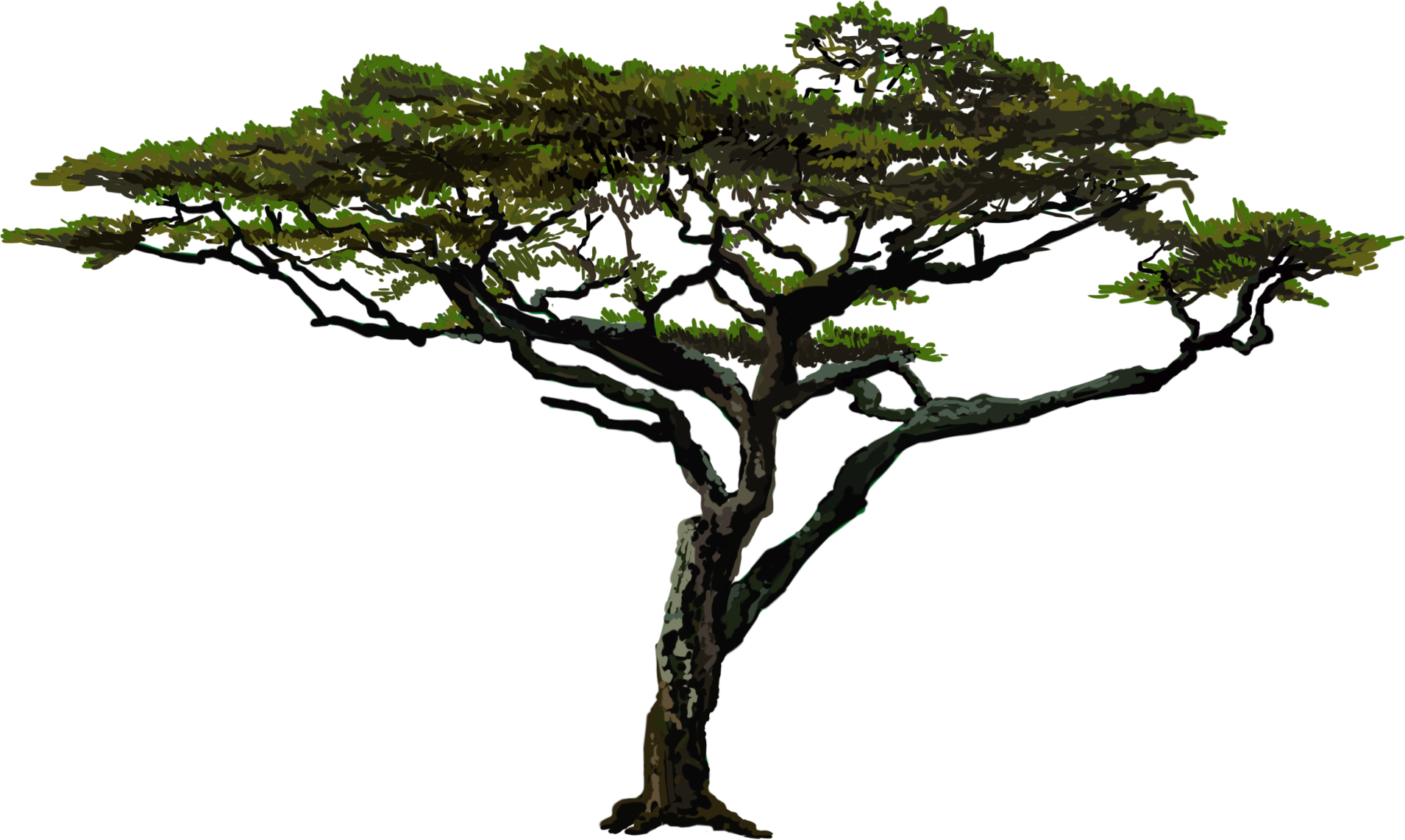 Fullscreen - Serengeti (1910x1142), Png Download