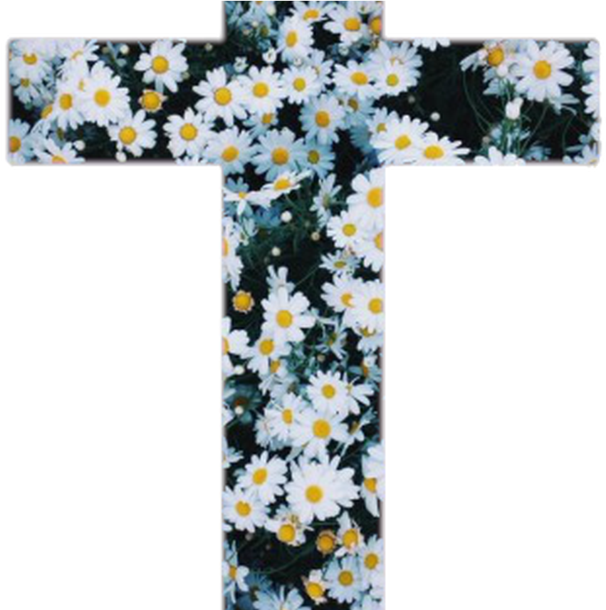 Overlays Tumblr Shared By Cynthia On We Heart It - Mr. Gugu & Miss Go Baseballová Bunda Flower Barevné (1368x855), Png Download