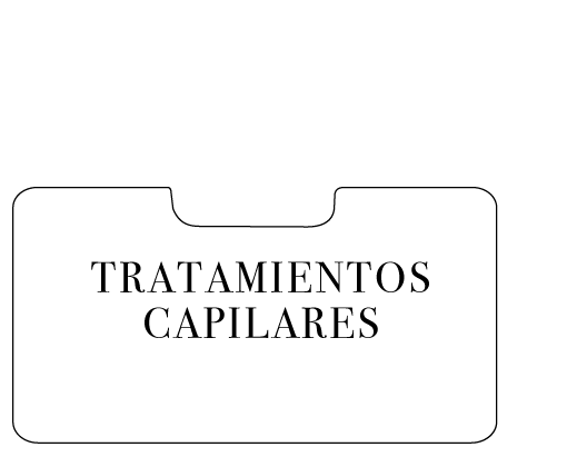 Boton-capilares - Still Life Photography (531x430), Png Download