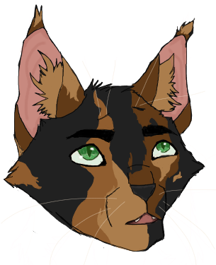 Bramble Hawk Head - Cat Yawns (317x379), Png Download