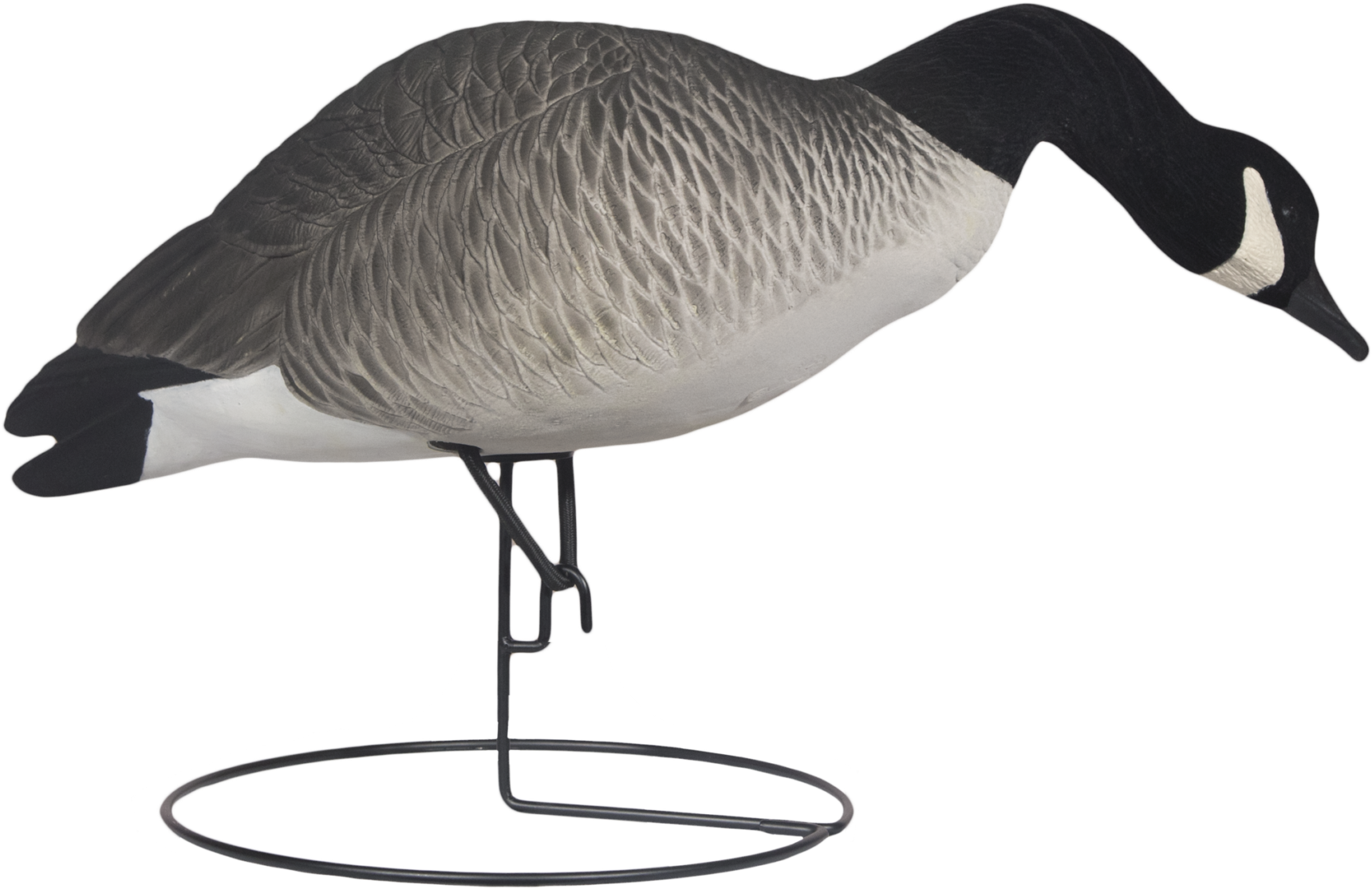 Rugged Full Body Canada Active Feeder Right Side Fully (2048x2048), Png Download