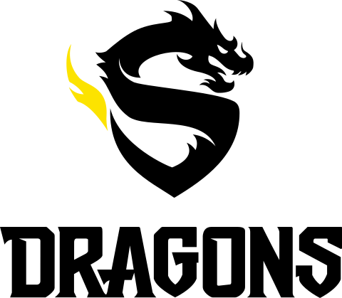Jersey - Overwatch Shanghai Dragons (480x419), Png Download