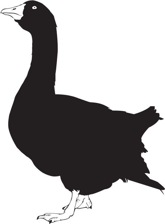 Goose Silhouette - Goose Silhouette Shower Curtain (396x504), Png Download