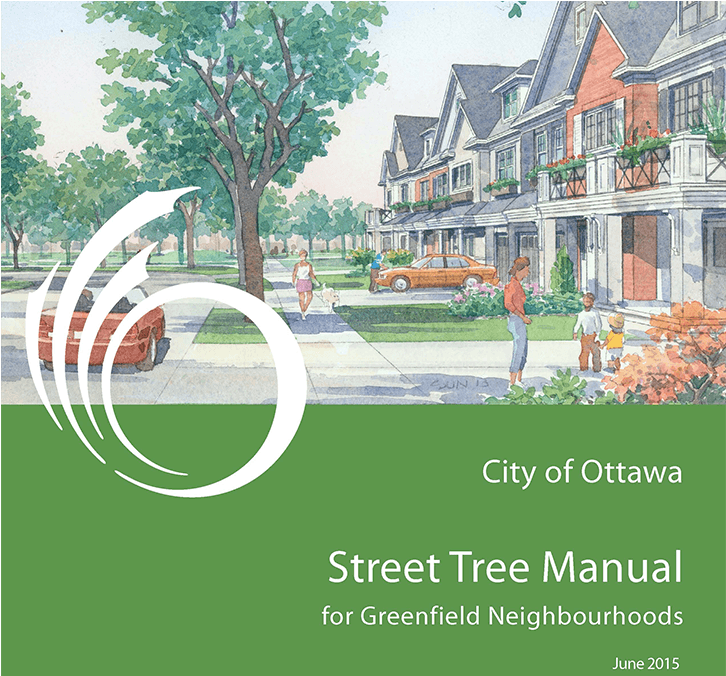Ottawa Street Tree Manual For Greenfield Development - Tree (1200x675), Png Download