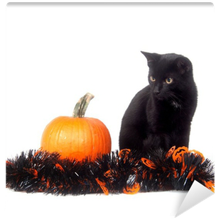 Black Cat With Pumpkin And Tinsel Wall Mural • Pixers® - Cat (400x400), Png Download