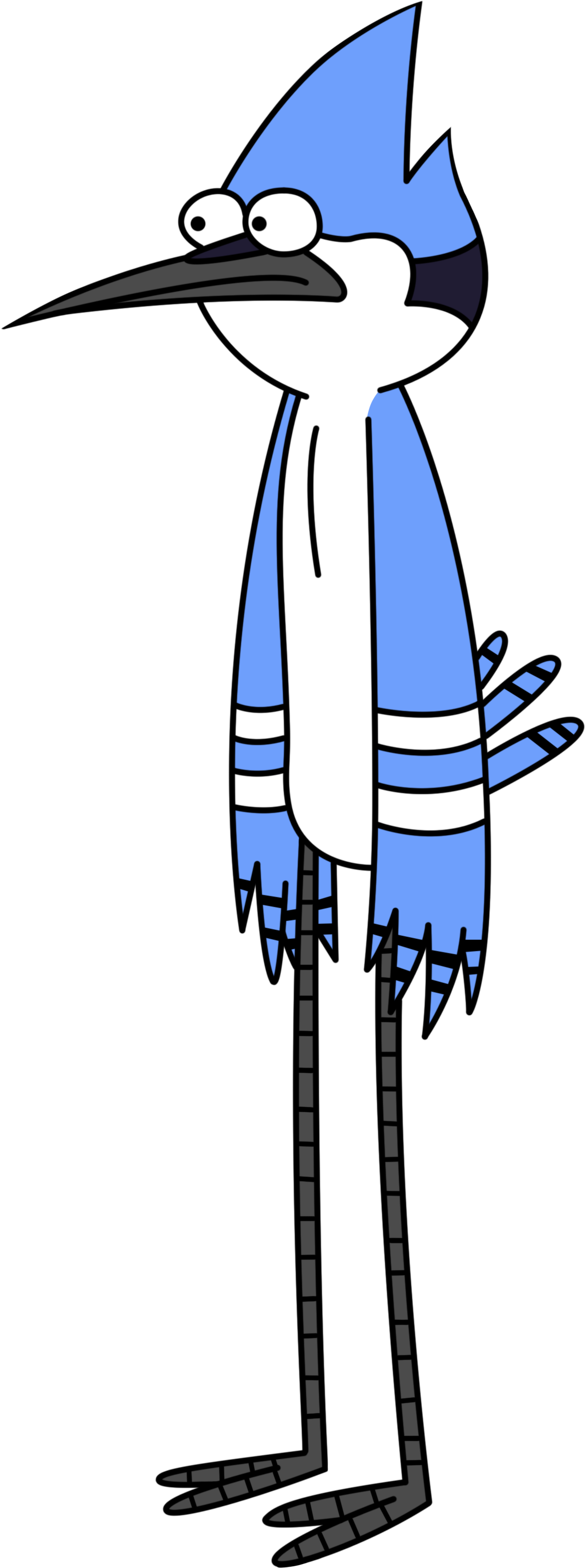 Mordecai - Un Show Mas Mordecai (1337x3350), Png Download