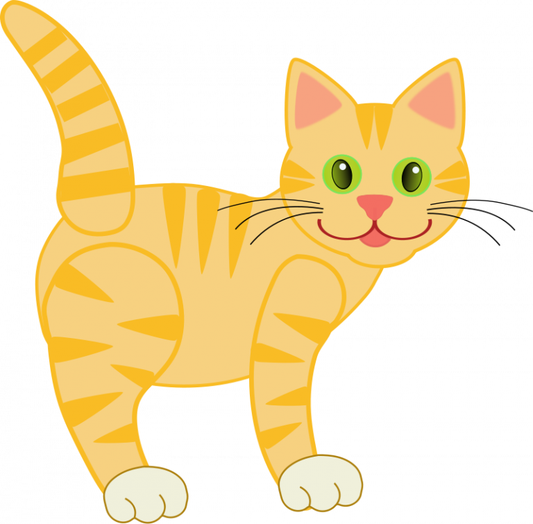 Cat Clipart Money - Cat Clipart (768x755), Png Download