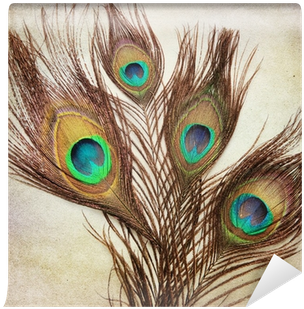 Vintage Background With Peacock Feathers Wall Mural - Wall Tapestry Home Decor Peacock Feather Wall Art Tapestry (400x400), Png Download