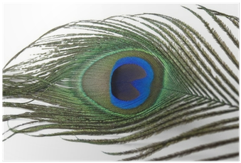 Electric Blue (400x400), Png Download
