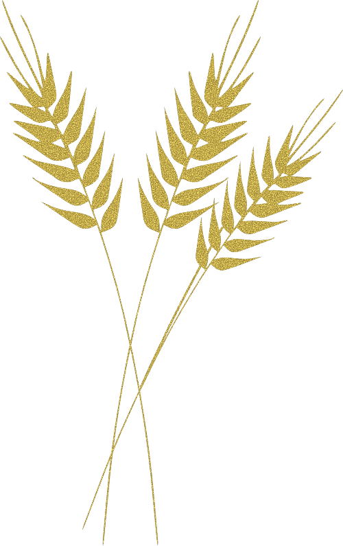 Ramo De Trigo - Wheat Clip Art Png (500x795), Png Download