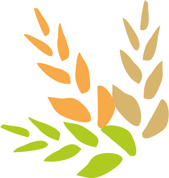 Grano Limpio De Trigo Negrillo - Grano De Trigo Png (576x608), Png Download
