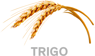 Trigo - Kelloggs All Bran Crunch Berry Delivered To Canada (427x322), Png Download