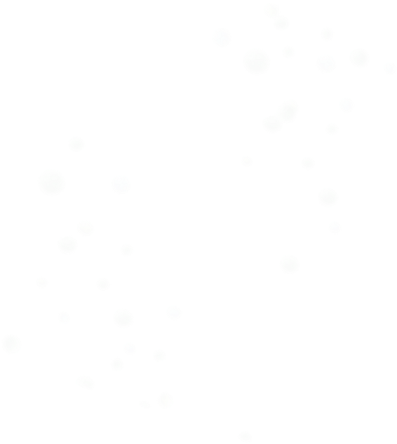 Estrella Galicia - Beige (573x678), Png Download