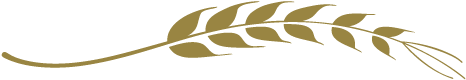 Nossa Equipe - Ramo De Trigo Png (603x233), Png Download