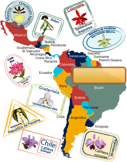 Map Of Latin America - Latin America Cultural Map (404x518), Png Download