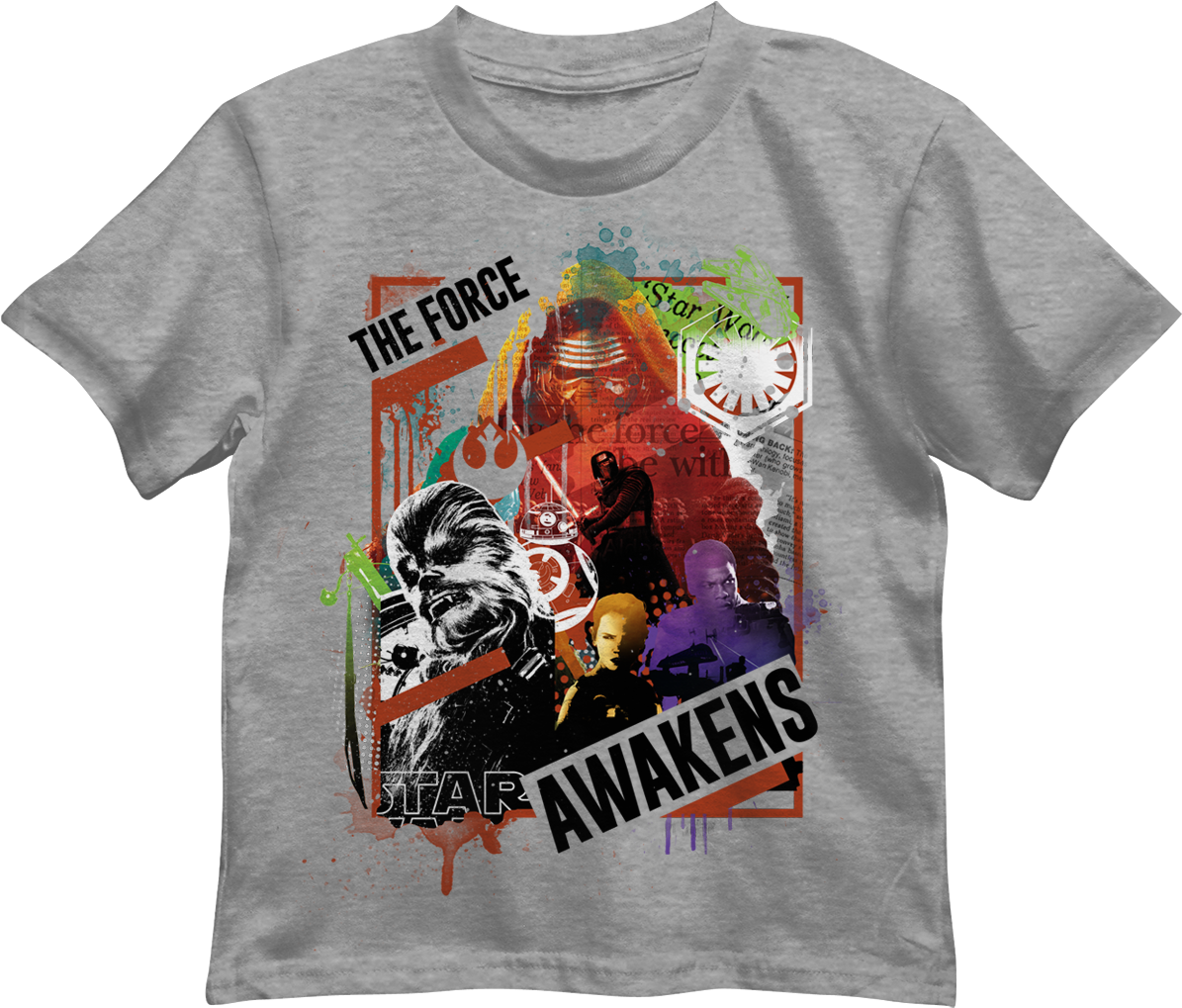 Star Wars Little Boys' The Force Awakens Clan Clash - Disney's The Lion Guard Kion, Bunga & Fuli Boys (1238x1088), Png Download