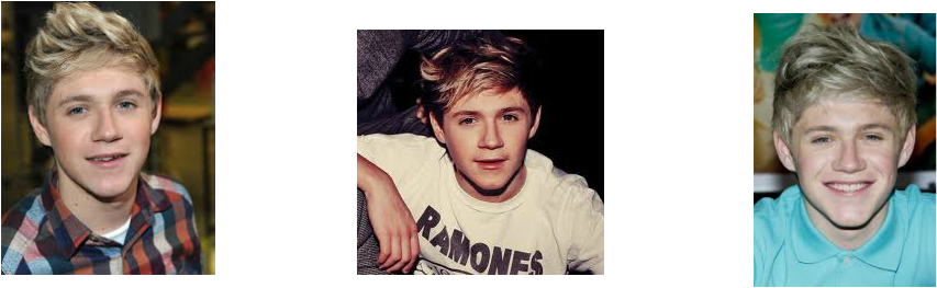 Niall James Horan Was Born 13 September 1993 In Mullingar, - Niall Horan Facts (853x263), Png Download