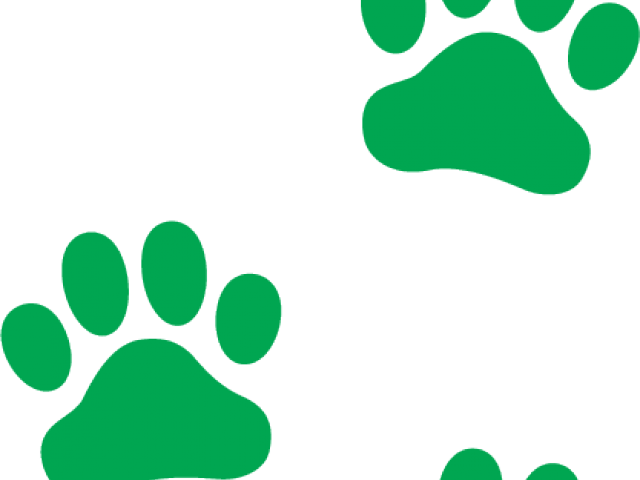 Dog Paw Prints Clipart - Dog Paw Print Orange (640x480), Png Download