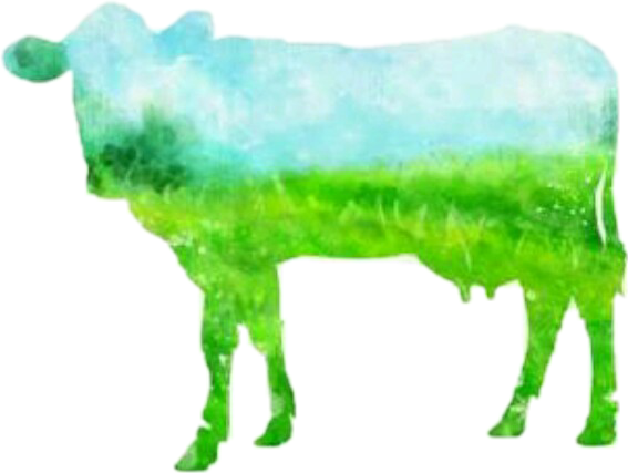 Report Abuse - Vacas Silueta Png (567x427), Png Download