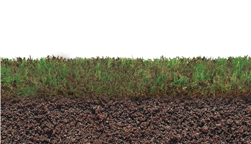 Paso 2 De 3 Etapas De Cultivo Pasto Seleccione La Etapa - Field (500x600), Png Download