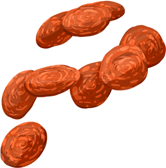 Pepperoni - Пеперони Пнг (450x494), Png Download
